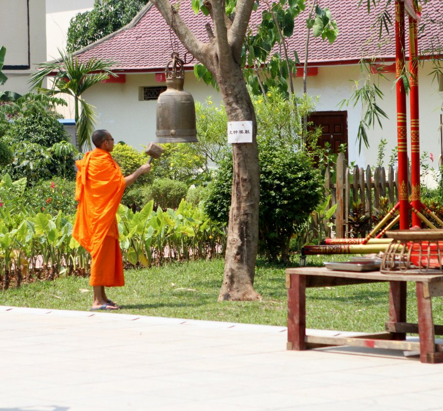Orange monk